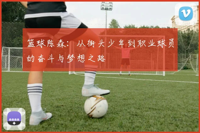 篮球陈森：从街头少年到职业球员的奋斗与梦想之路