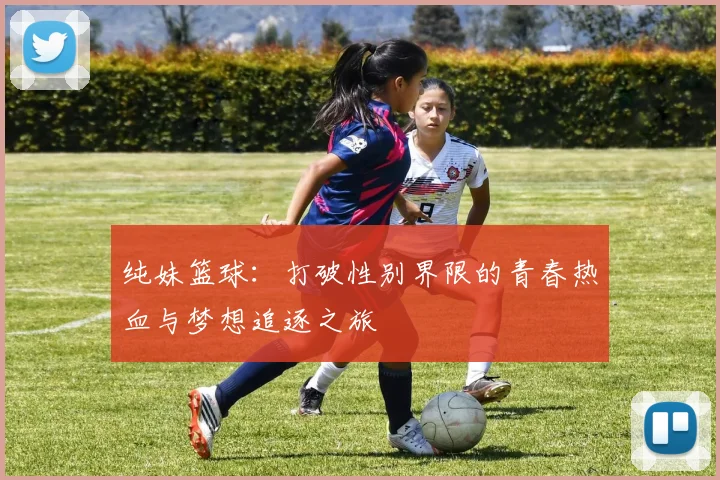 纯妹篮球：打破性别界限的青春热血与梦想追逐之旅