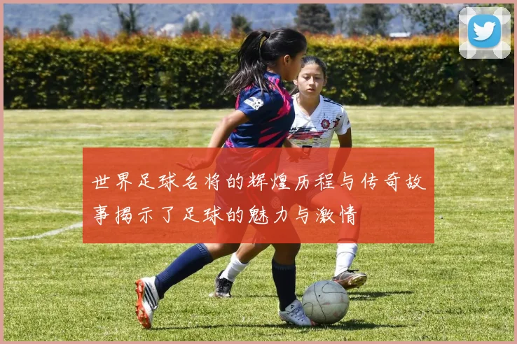 世界足球名将的辉煌历程与传奇故事揭示了足球的魅力与激情